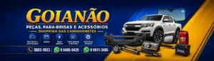 Goianao peças e acessórios parabrisa